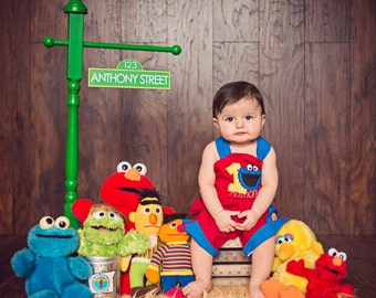 Personalized Sesame Street Sign - Sesame Street Party Inspired Sign - Personalized GREEN Street Sign