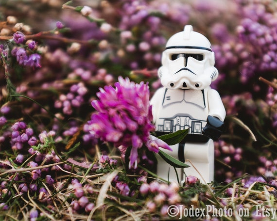 stormtrooper flower