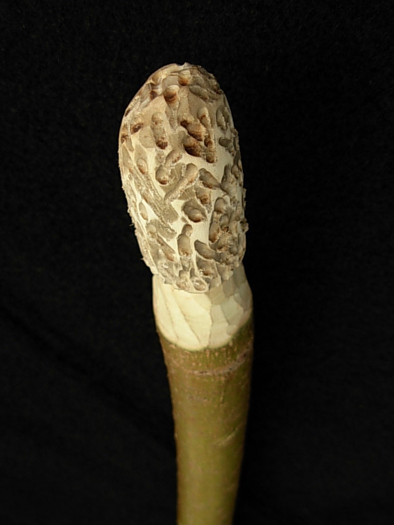 Unavailable Listing on Etsy