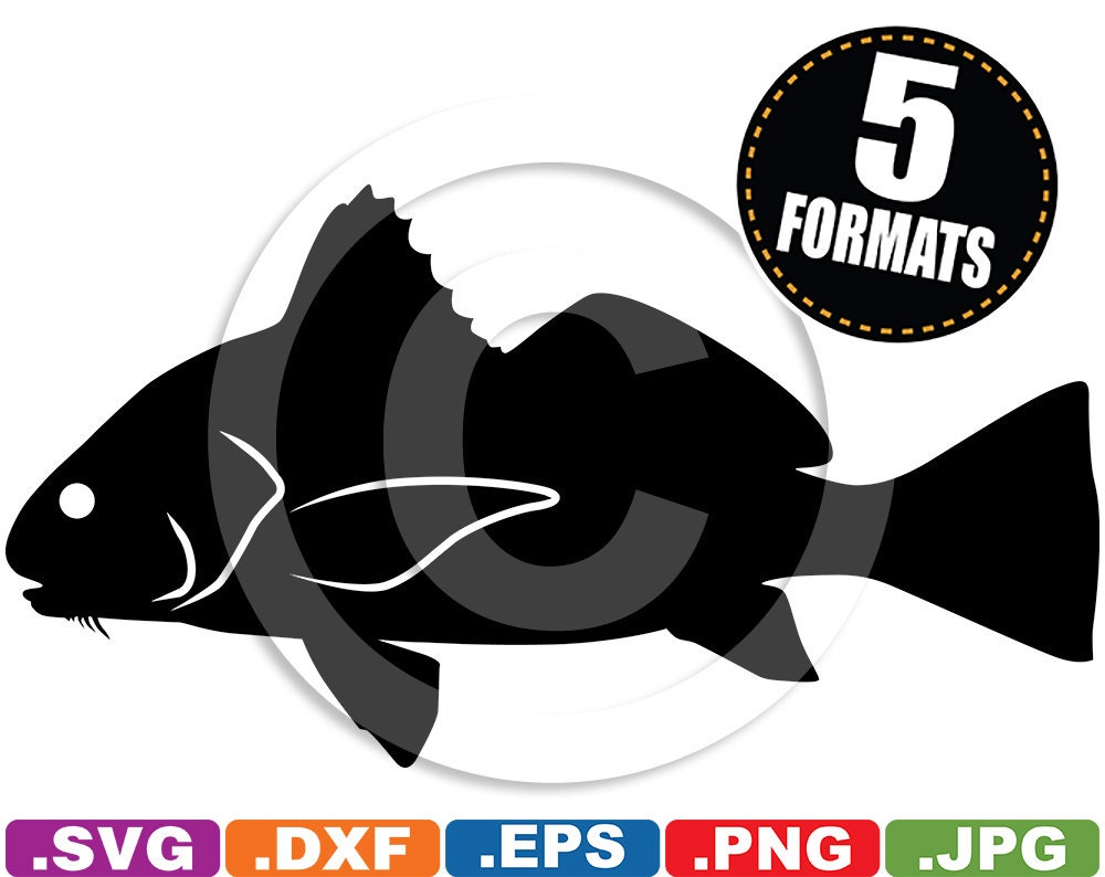 Black Drum Fish Clip Art Image svg & dxf cutting files for Cricut and