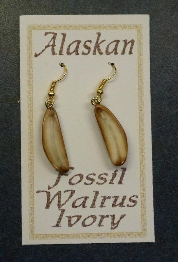 Fossil Alaska Walrus Ivory Earrings