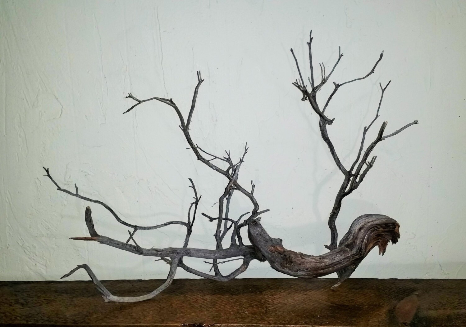 driftwood manzanita aquarium by YosemiteDesigns on Etsy