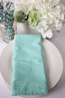 Cloth Napkins- Mint - Set of 4