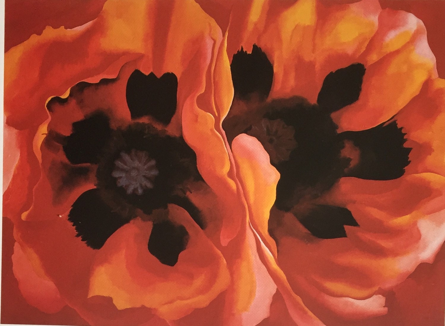 Orange Print Oriental Poppies Georgia O Keeffe by Upcycledgraphics