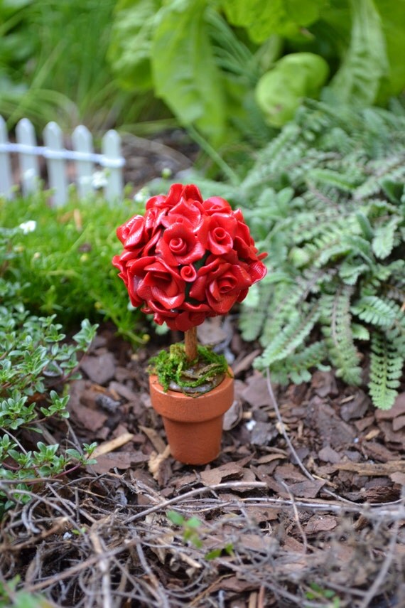 Fairy Garden Red Rose Topiary in Terra Cotta Pot