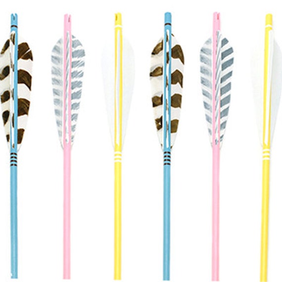 Pastel Wild Arrows