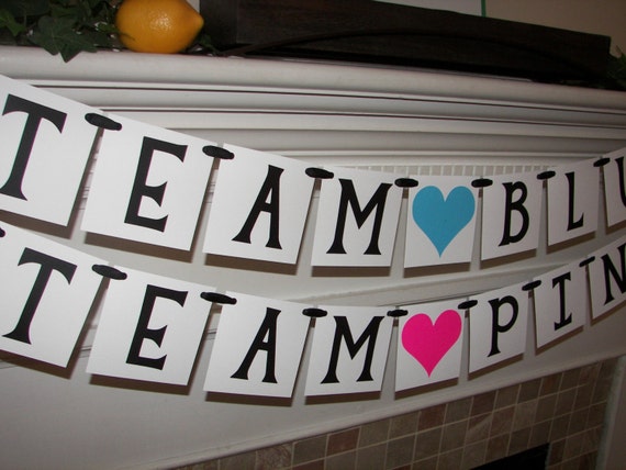 Team BLUE Team PINK Banner Gender Reveal by SweetLemonDropShop