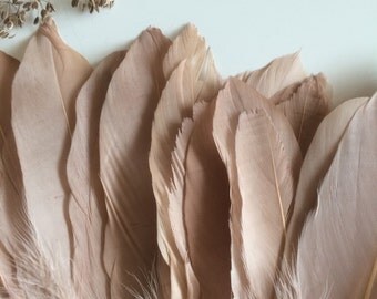 GOOSE FEATHER FRINGE, Tan, Dark Blush / 445
