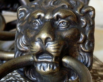 ornate lion metal drawer handle... lions... Home Decor... T 10