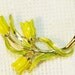 CLEARANCE SALE - Vintage Gerry's Chippy Yellow Enamel Tulip Floral Brooch-Pin (B-3-4)