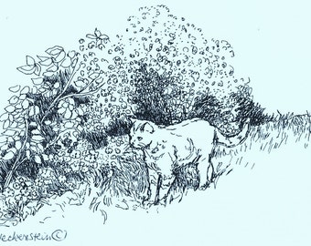 Cat PRINT of original pen DRAWING, Cat Art, "On The Prowl"