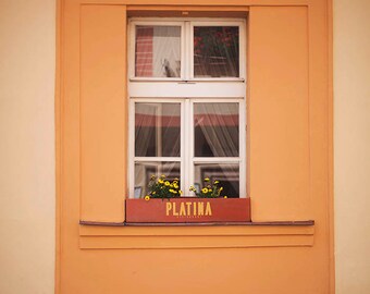 Flowers in Praha - 8x10 Fine Art Photograph, Czech Republic, Prague, European Travel Photography, Wall Art