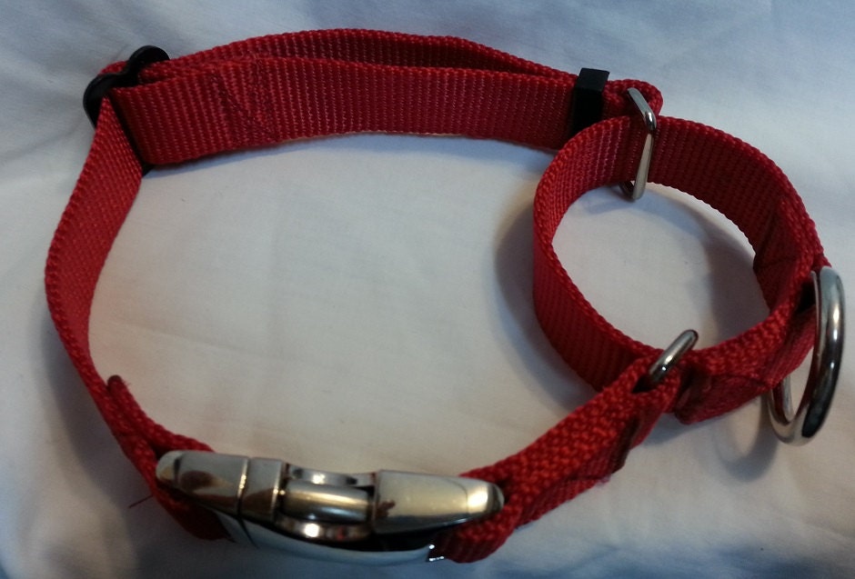 Large Martingale Dog Collar METAL BUCKLES 22 to 34.5 USA Made