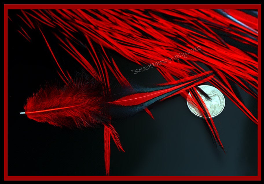 Red Craft Feathers Black Laced Red Feathers Rooster Saddle Red