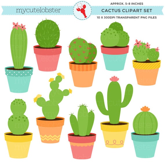 free clipart cactus flower - photo #35