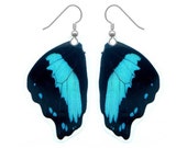 Real Butterfly Wing Earrings - Butterfly Jewelry, Nature Jewelry, Taxidermy, Butterfly Earrings