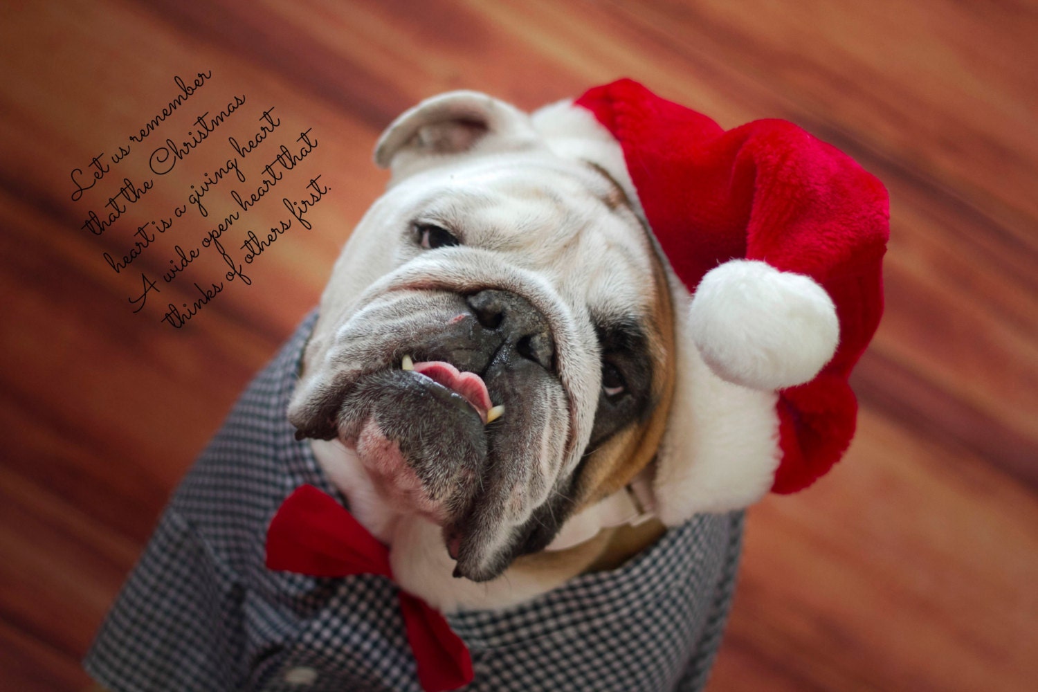 english bulldog christmas pillow