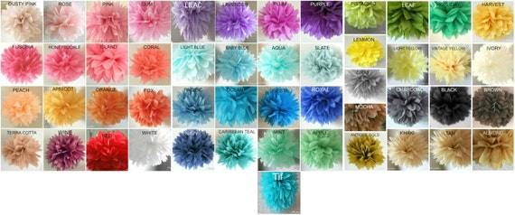 Not For Sale -- COLOR CHART ONLY Il_570xn