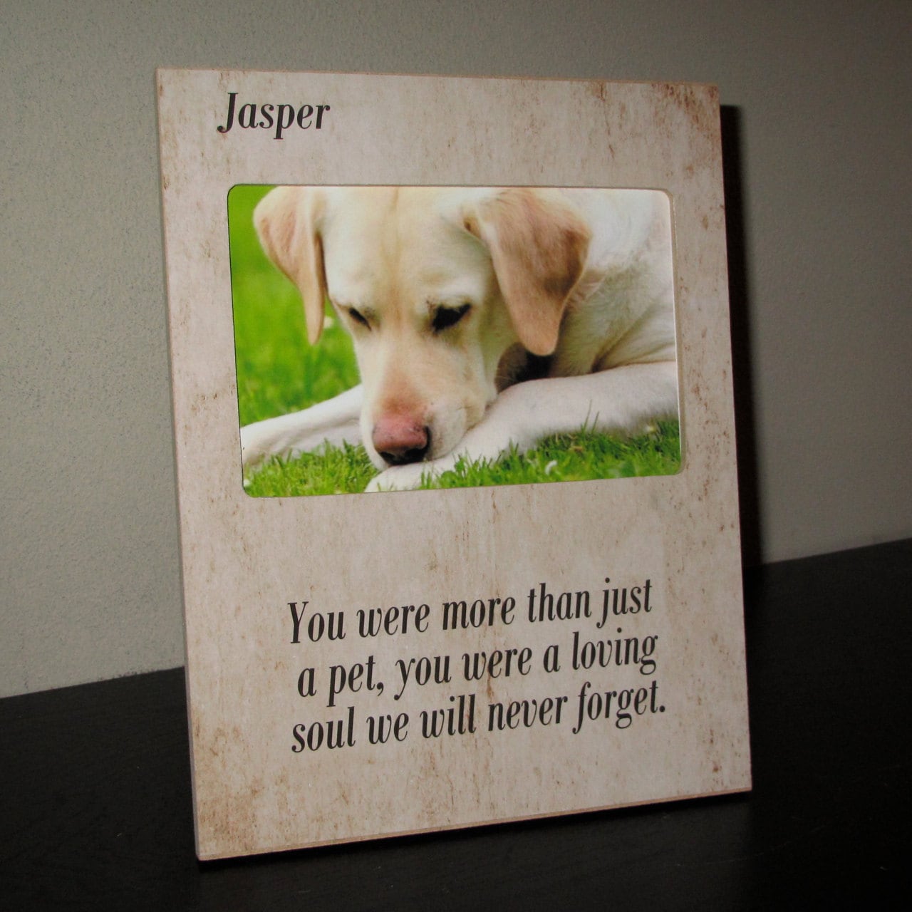 Personalized Pet Loss Pet Memory Pet Memorial Sympathy Gift