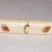 Vintage Tie Clip, Seahorse Embeded in Lucite, ca1950s