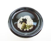 Miniature Black Moor Fish in Ceramic Container