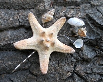 Mermaid hair, Starfish Bobby Pins, Bridal Hair Pins, seashell Mermaid Hair Accessories, Beach Wedding Hair Accessories Pins for hair