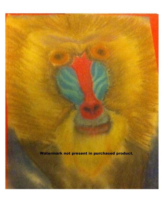 Baboon Painting Print