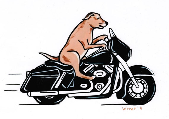 dog riding motorcycle clipart - photo #8