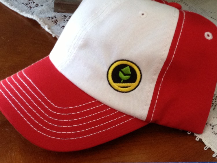 POKEMON GO Trainer RED Cap Nintendo by StellaKlinkerCostume