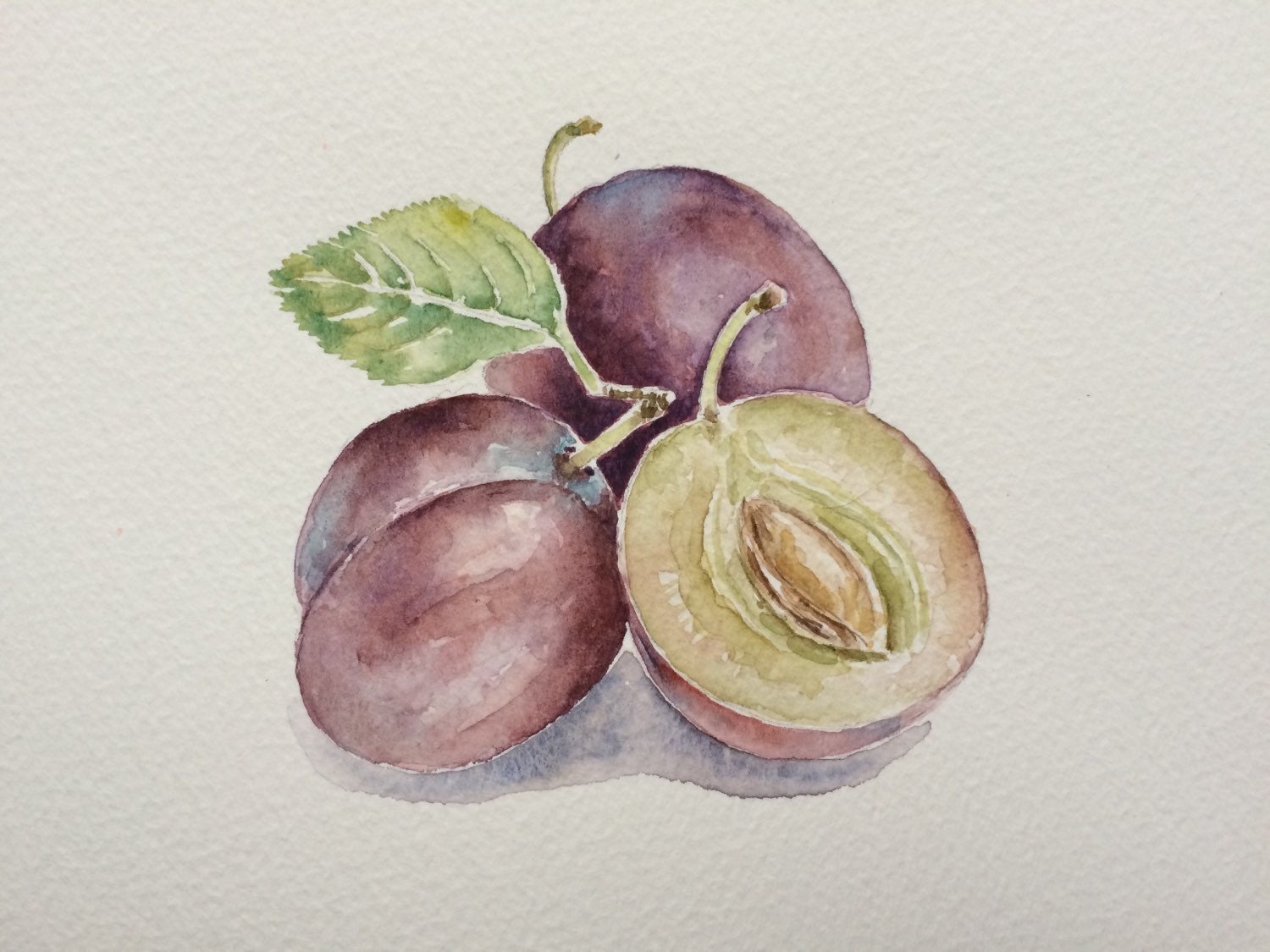 Plums watercolor painting for kitchen decororiginal