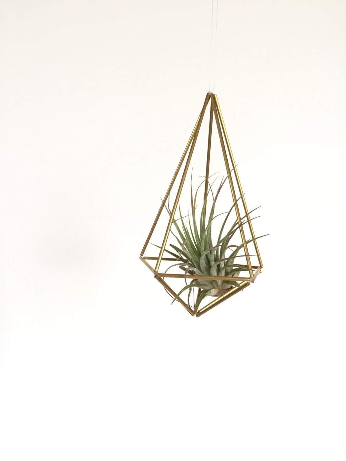 Brass geometric shape hanging planter ready to ship hanging