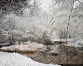 Michigan Photography, Michigan Photo, Michigan, Grand Rapids Winter, Winter Pond, White,Brown blue pond, winter art, art, Grand Rapids Snow Michigan Photography, Michigan Photo, Michigan, Grand Rapids Winter, Winter Pond, White,Brown blue pond, winter art, art, Grand Rapids Snow