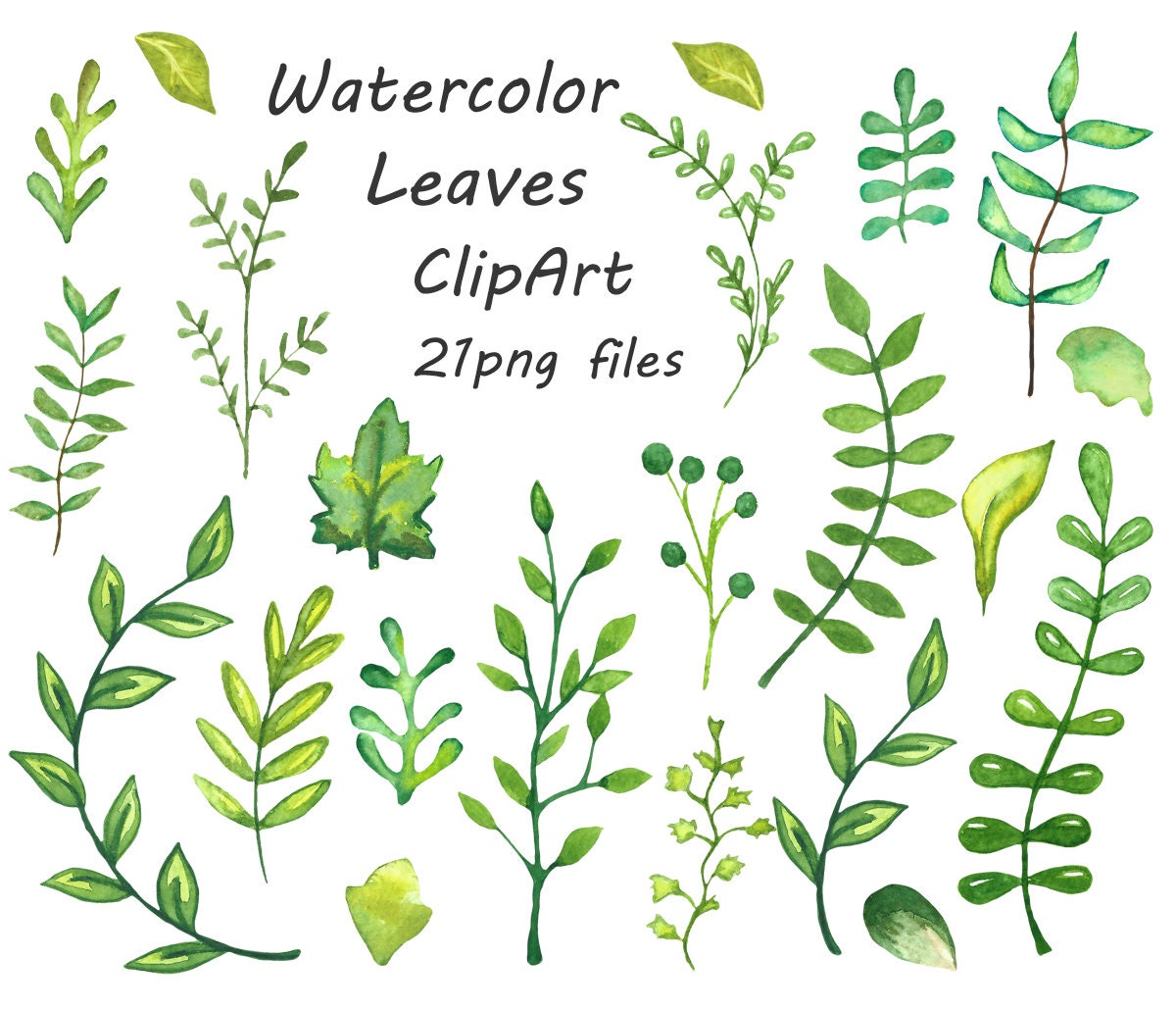 watercolor leaves clipart - photo #1