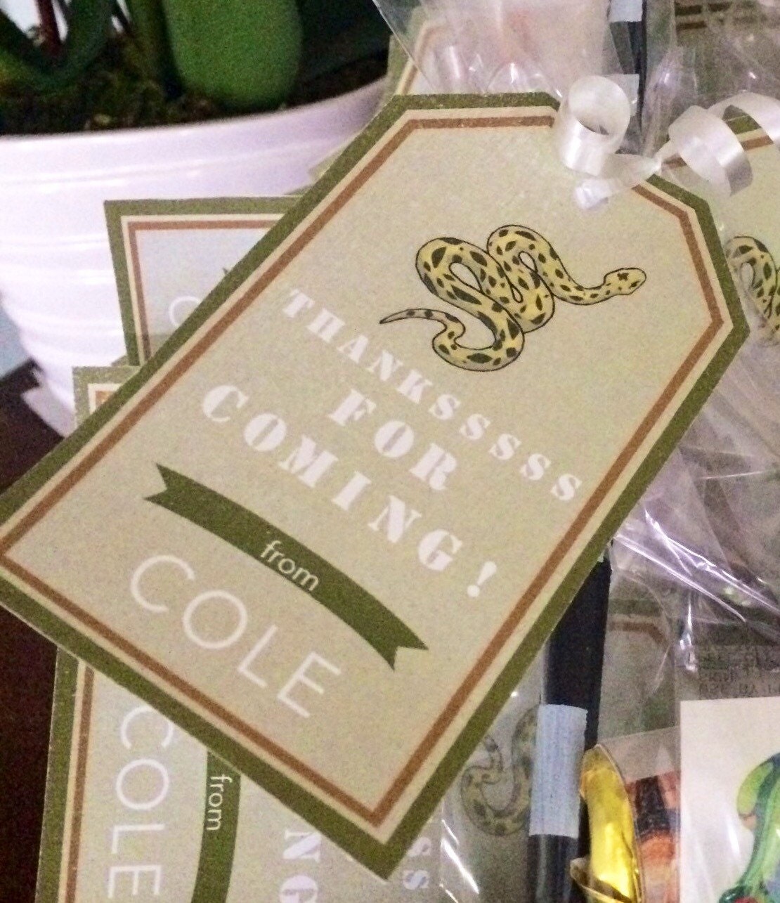 Reptile Themed Birthday Party Favor Thank You Tags