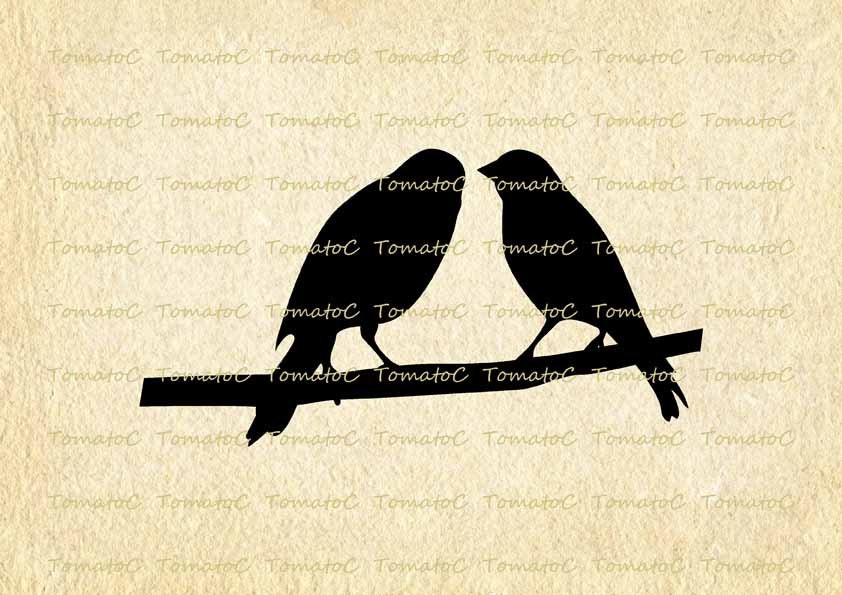 Birds on Wire Silhouette Digital Image Download for Transfer