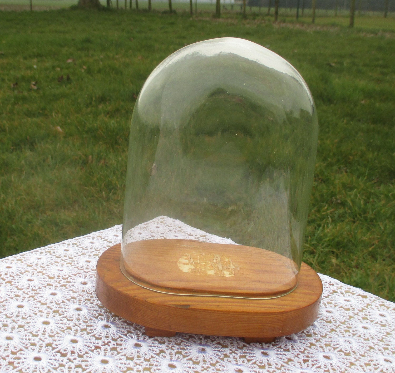 Small Vintage Oval Glass Globe Dome Bell Cloche Display Taxidermy Steampunk 6.3"