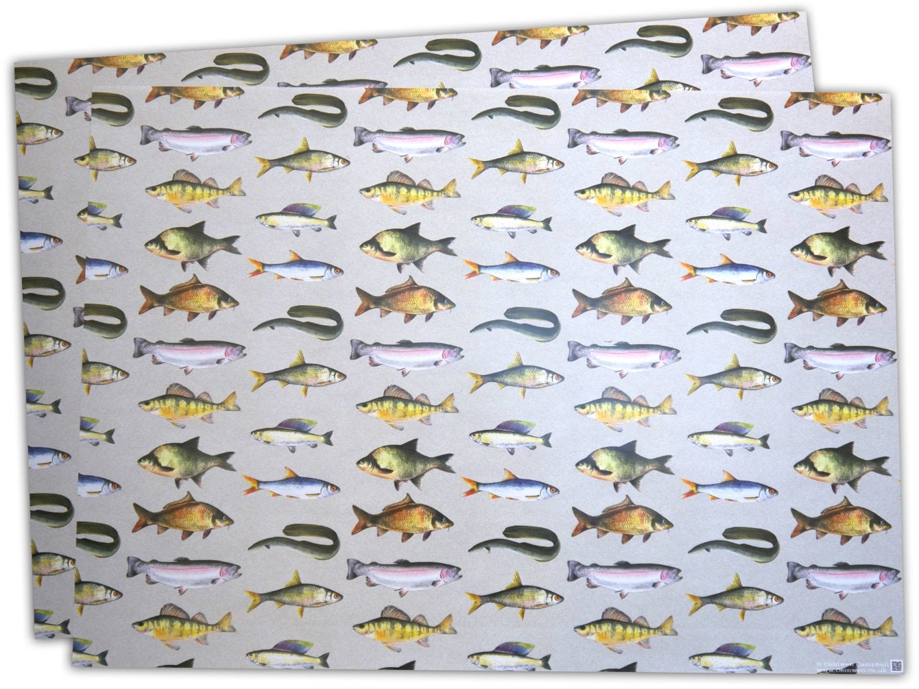 British Fresh Water Fish Gift Wrapping Paper from TheArtyPenguin on