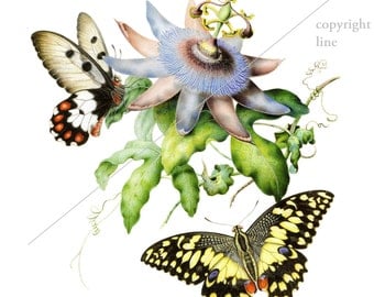 Vintage butterflies and flowers - Temporary tattoo