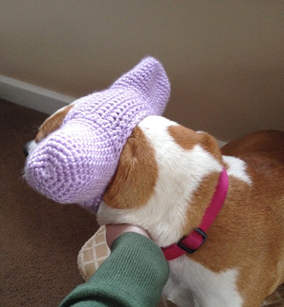 Crochet Dog Hat Dog Ear Warmers Ear Protector by thewoollykraken