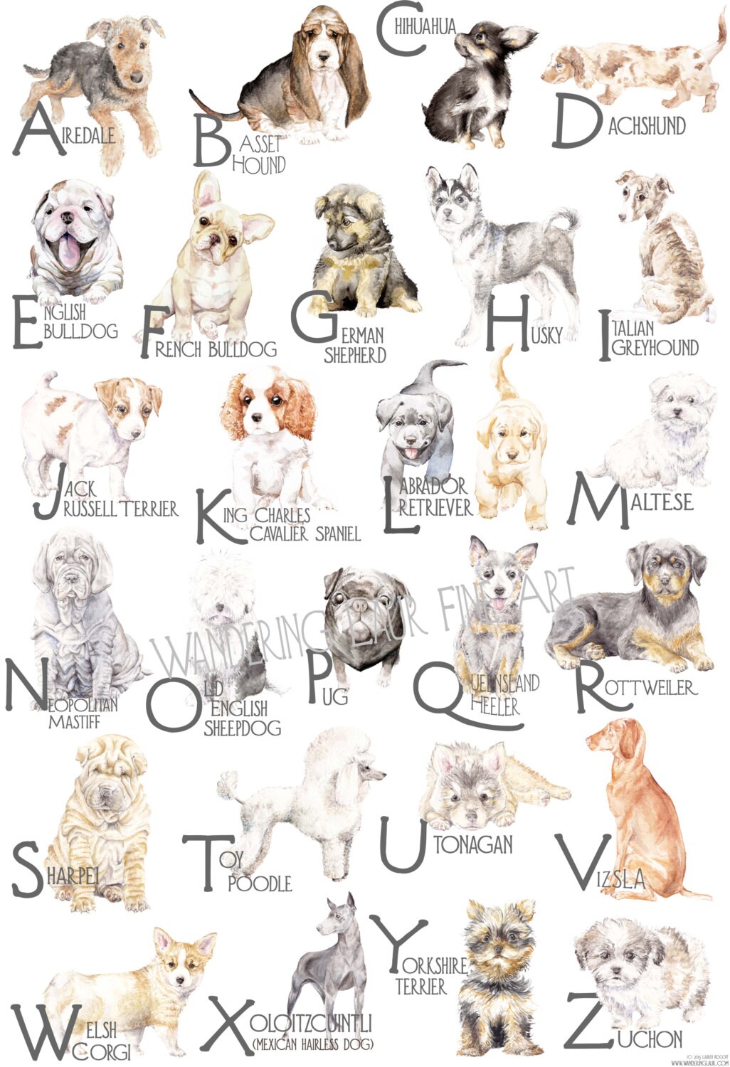 abc-dog-breeds-alphabet-poster-original-by-wanderinglaurfineart