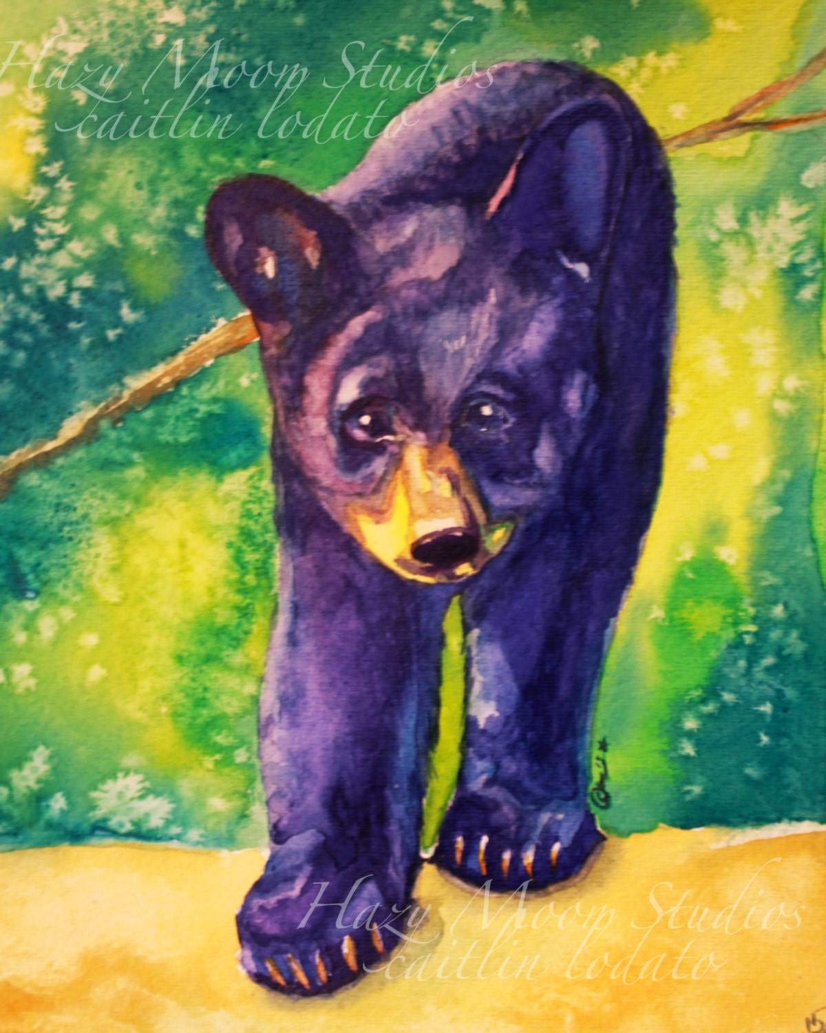 Black Bear Cub Painting Print Original Watercolor