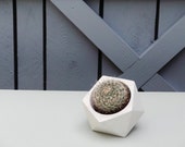 Concrete planter, succulent planter, succulent concrete planter, geometric planter, cement planter, concrete planters,small concrete planter