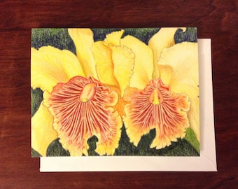 Yellow Orchids in Colored Pencil