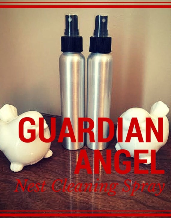Items similar to Guardian Angel Nest Cleaning Spray on Etsy
