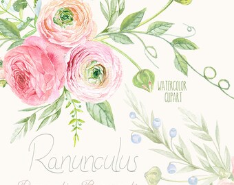 Ranunculus Bouquets Flowers Hand Drawn Clip Art Watercolor - digital flowers, DIY invites, scrapbooking, wedding invitations