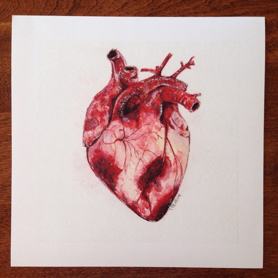 Human Heart Watercolor Giclee Print