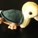 avatar turtle duck plush