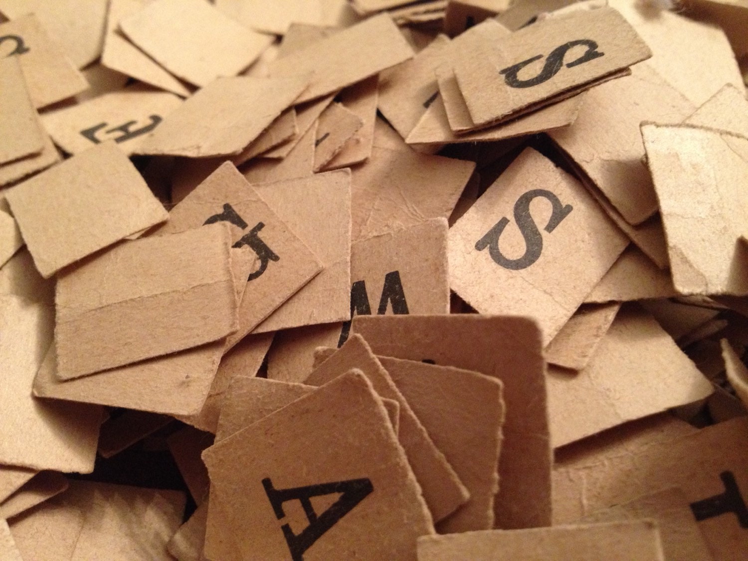 Letter essay format picture