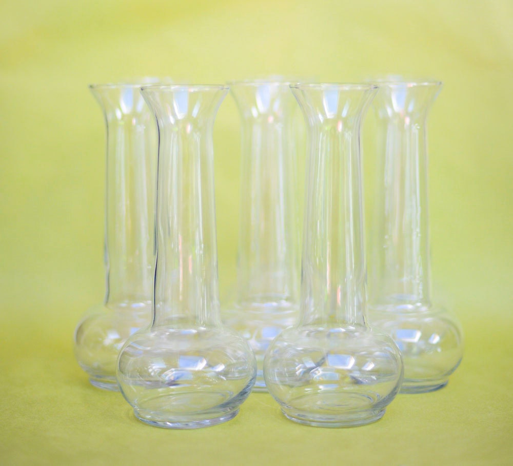 Clear Glass Vintage 8 Bud Vase Collection Tall 7 1 2 By Ollyoxes