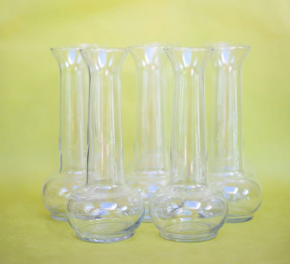 Clear Glass Vintage 8 Bud Vase Collection Tall 7 1/2 by OllyOxes